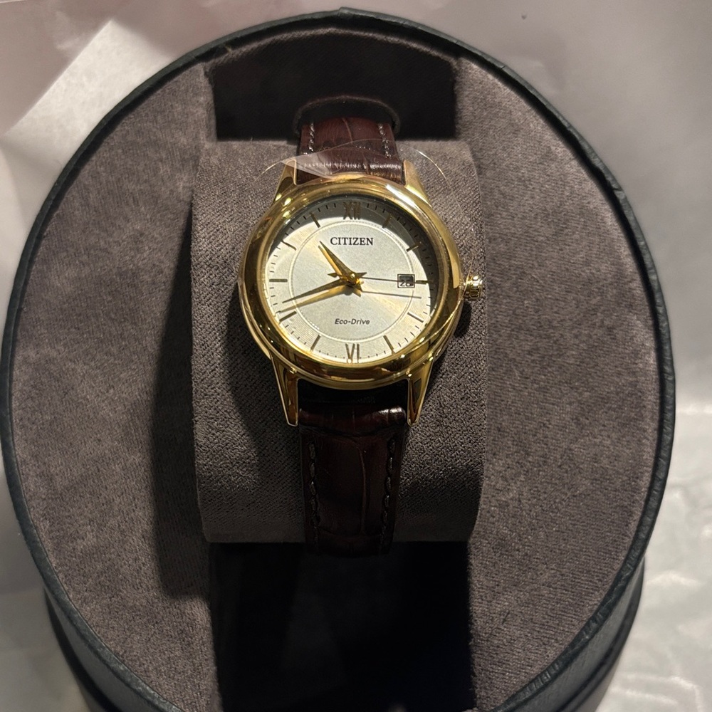 Citizen Gold and Brown Eco-Drive Timepiece